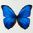 cr15t1's Avatar