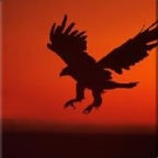 Goodblue77's Avatar