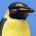 Erasa's Avatar