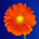 superMclone's Avatar